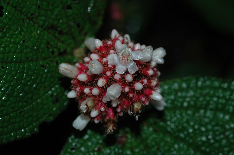 DSC_5834.JPG