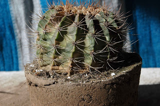 DSC_6282.JPG