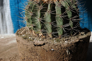 DSC_6286.JPG