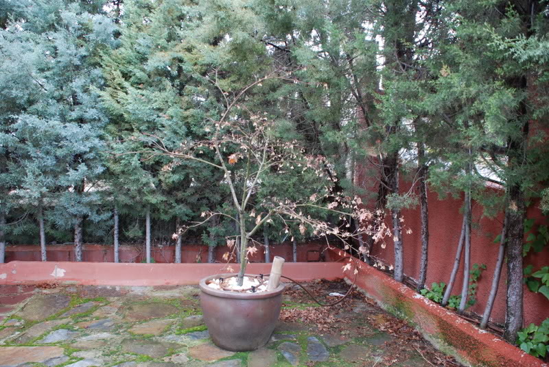 DSC_6950.jpg