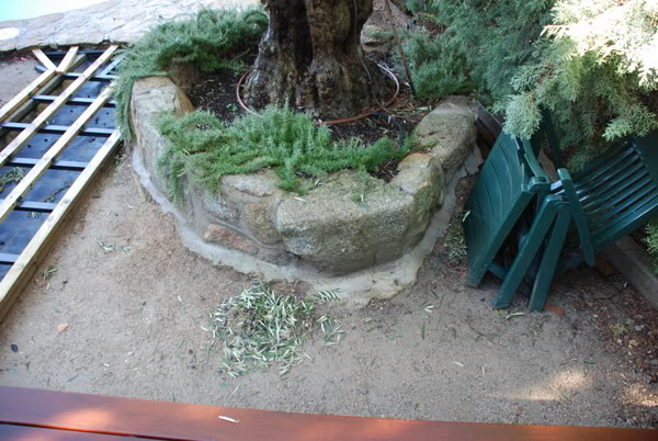 DSC_6955.jpg