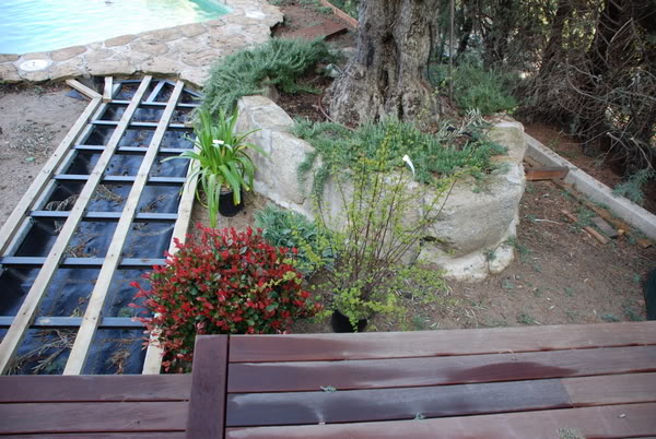 DSC_7093.jpg