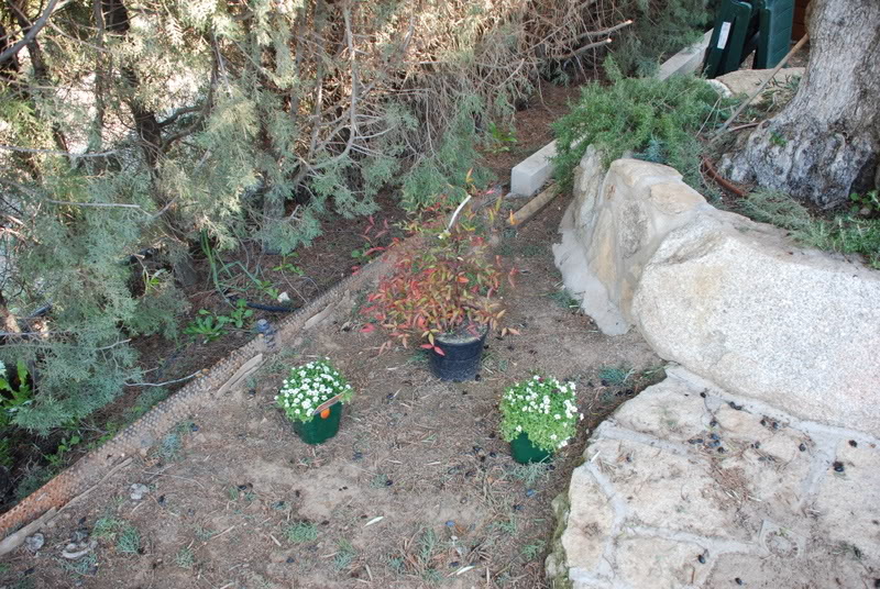 DSC_7110.jpg