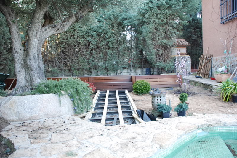 DSC_7134.jpg