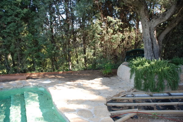 DSC_7291.jpg