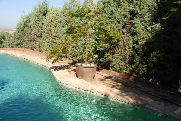DSC_7294.jpg