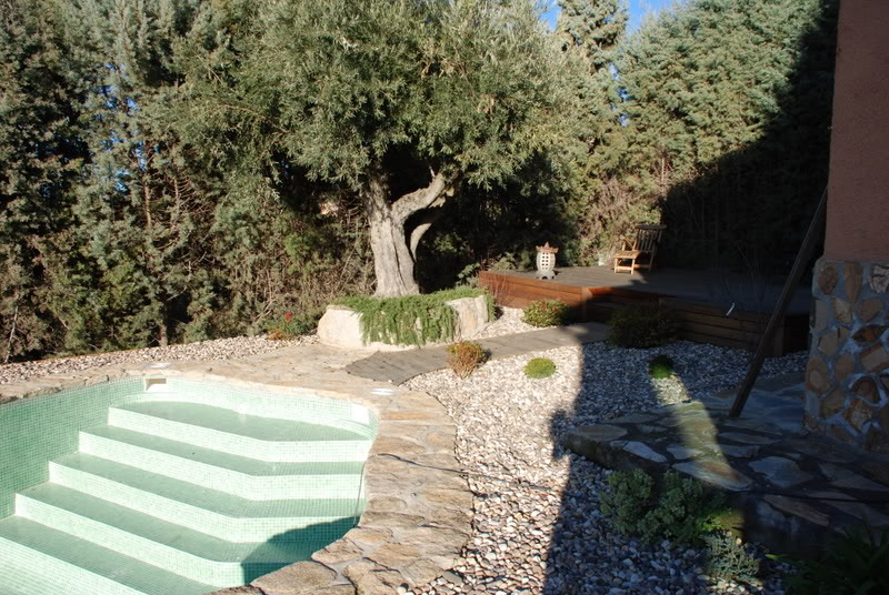 DSC_8008.jpg