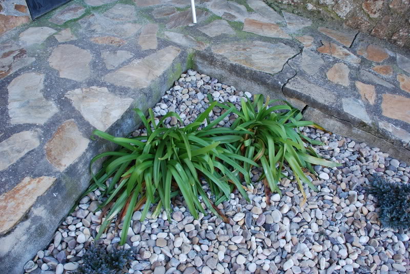 DSC_8058.jpg