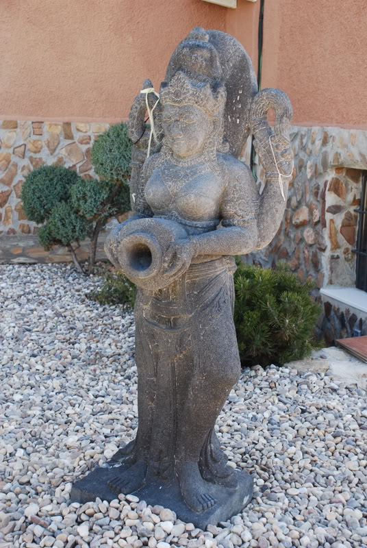 DSC_8061.jpg