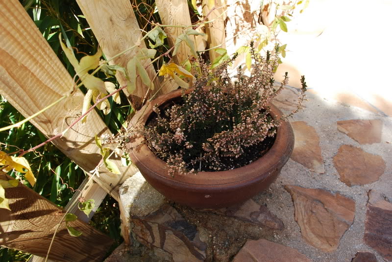 DSC_8062.jpg