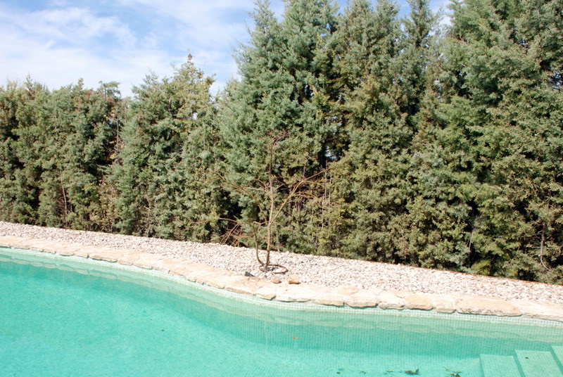 DSC_8104.jpg