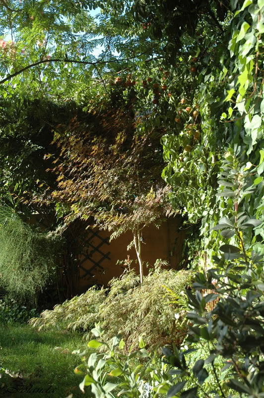 DSC_8602copia.jpg