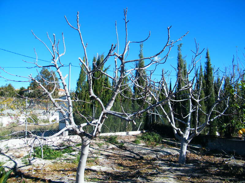 DSCF0001.jpg