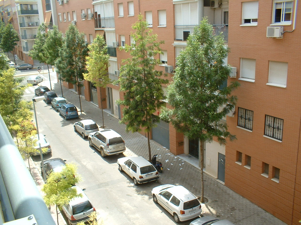 DSCF0002%7E3.JPG