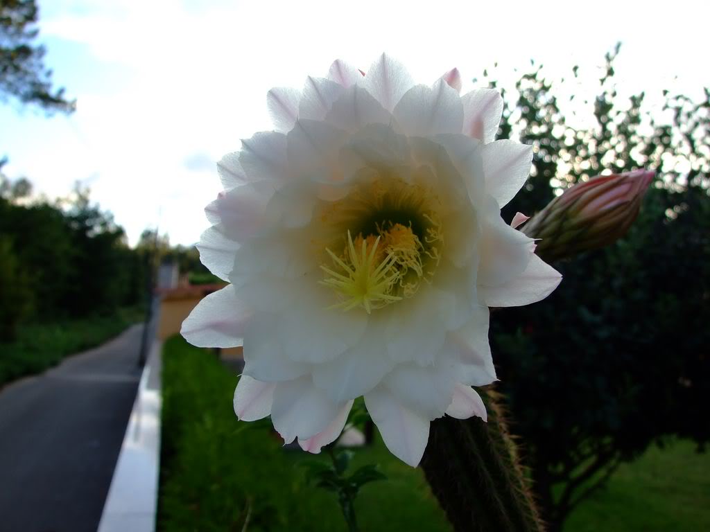 DSCF00021280x768.jpg