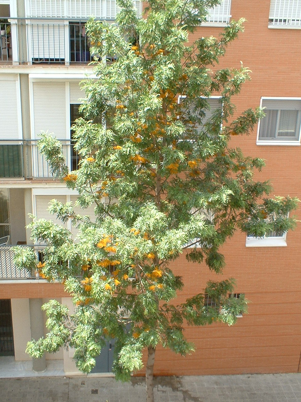 DSCF0003%7E5.JPG