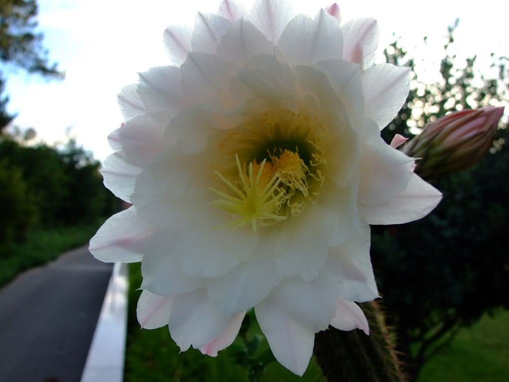 DSCF00031280x768.jpg