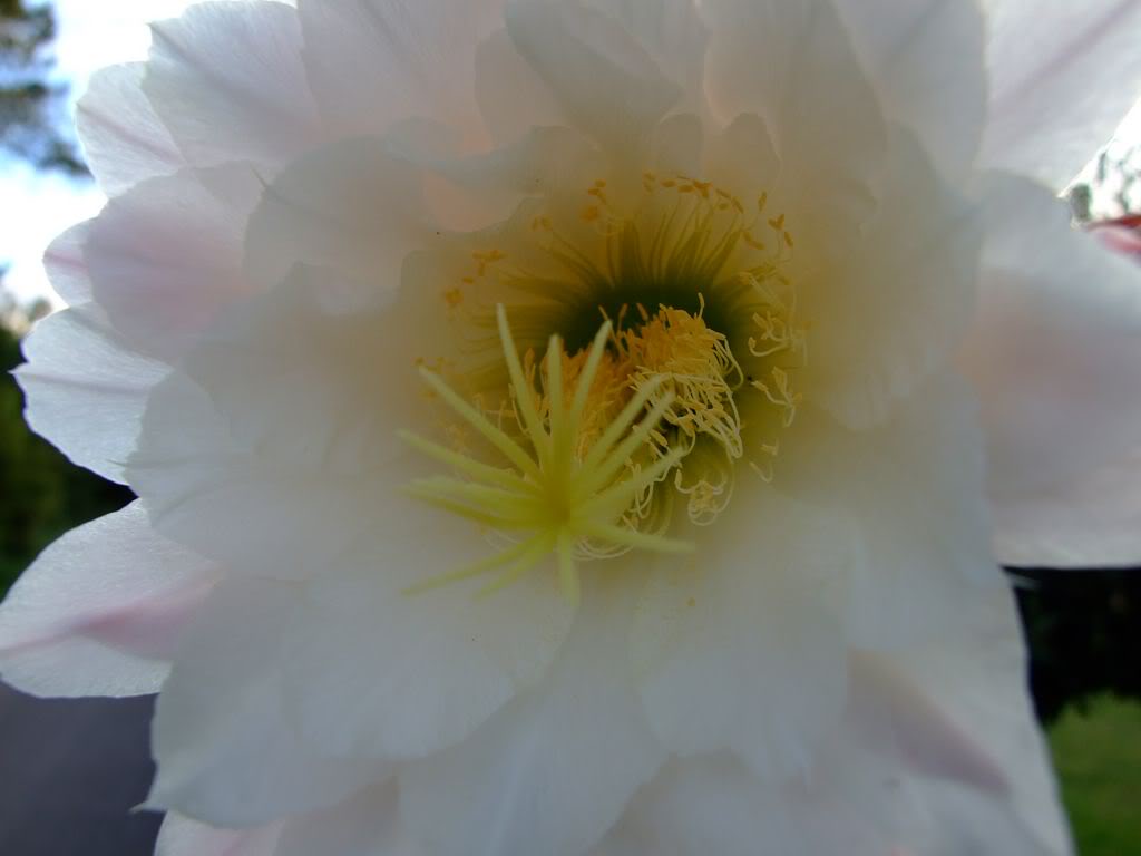 DSCF00041280x768.jpg