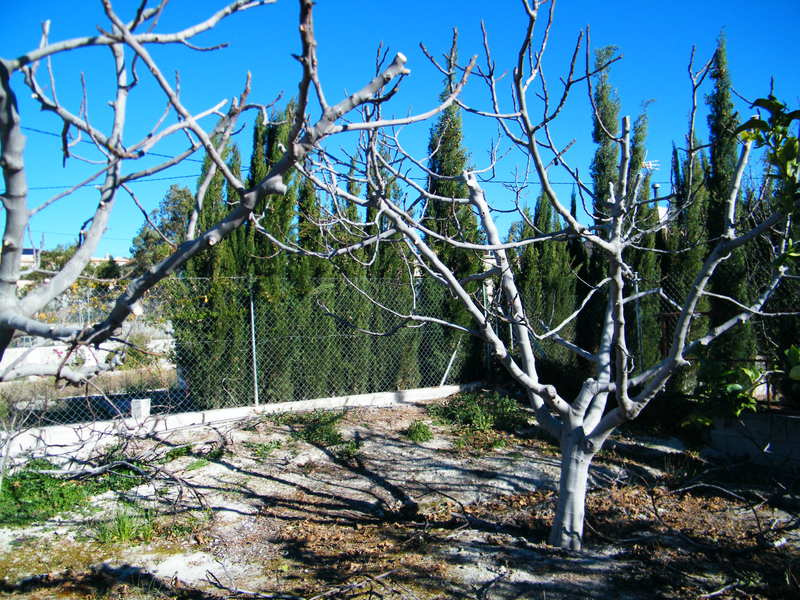 DSCF0005.jpg