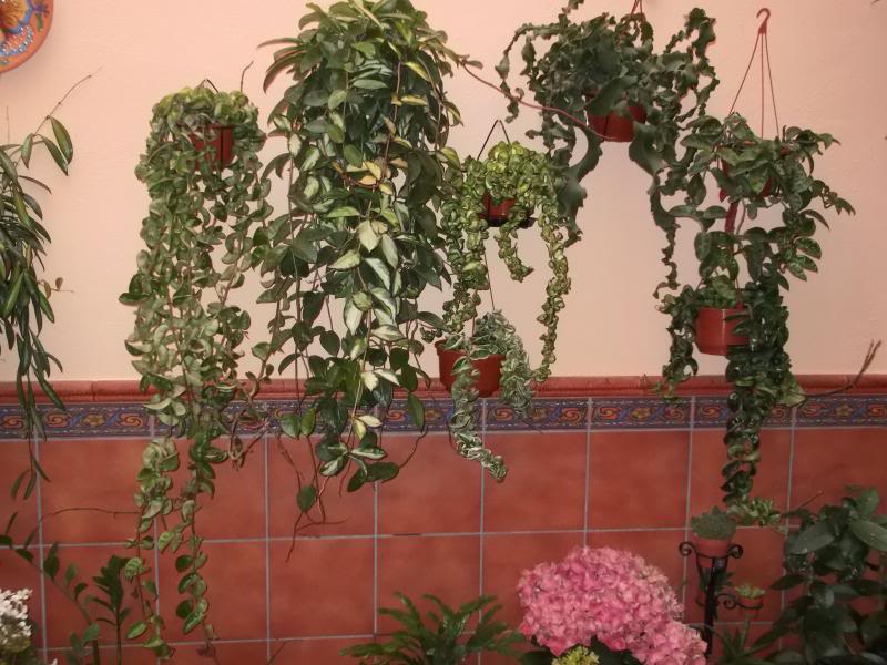 DSCF0005.jpg