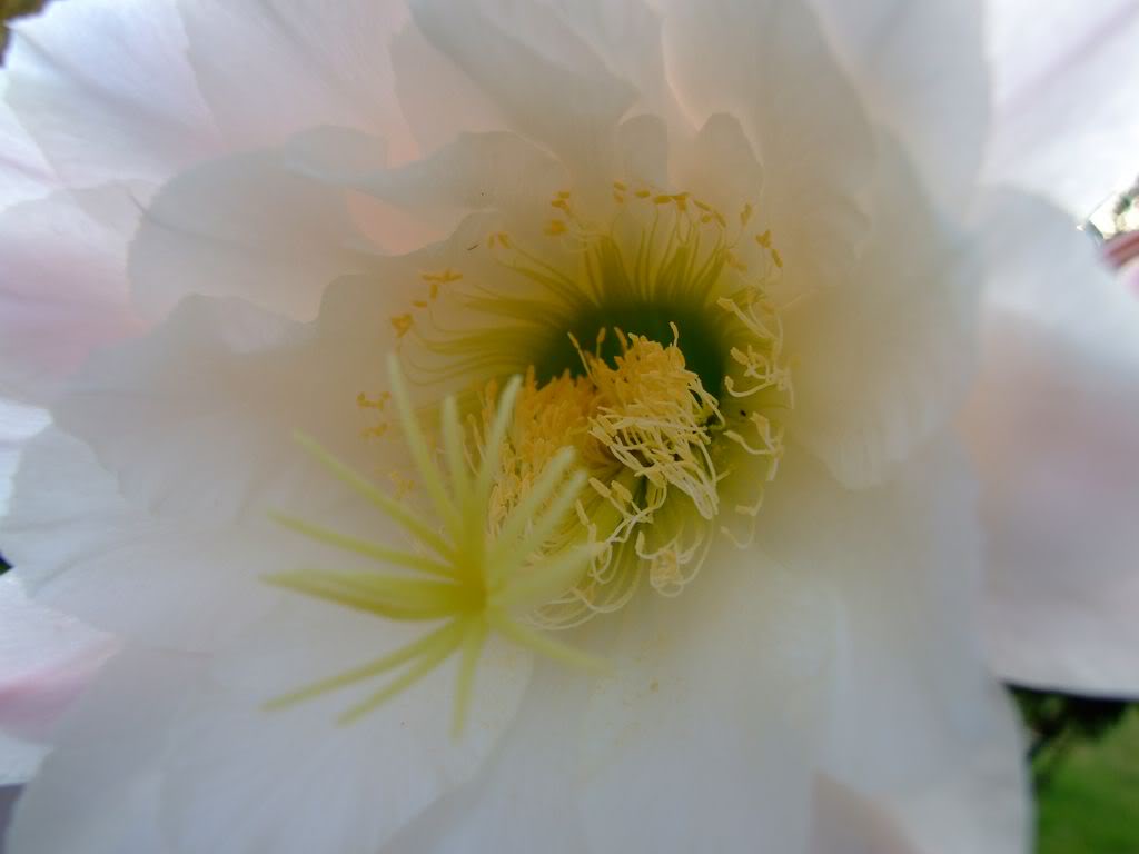 DSCF00051280x768.jpg