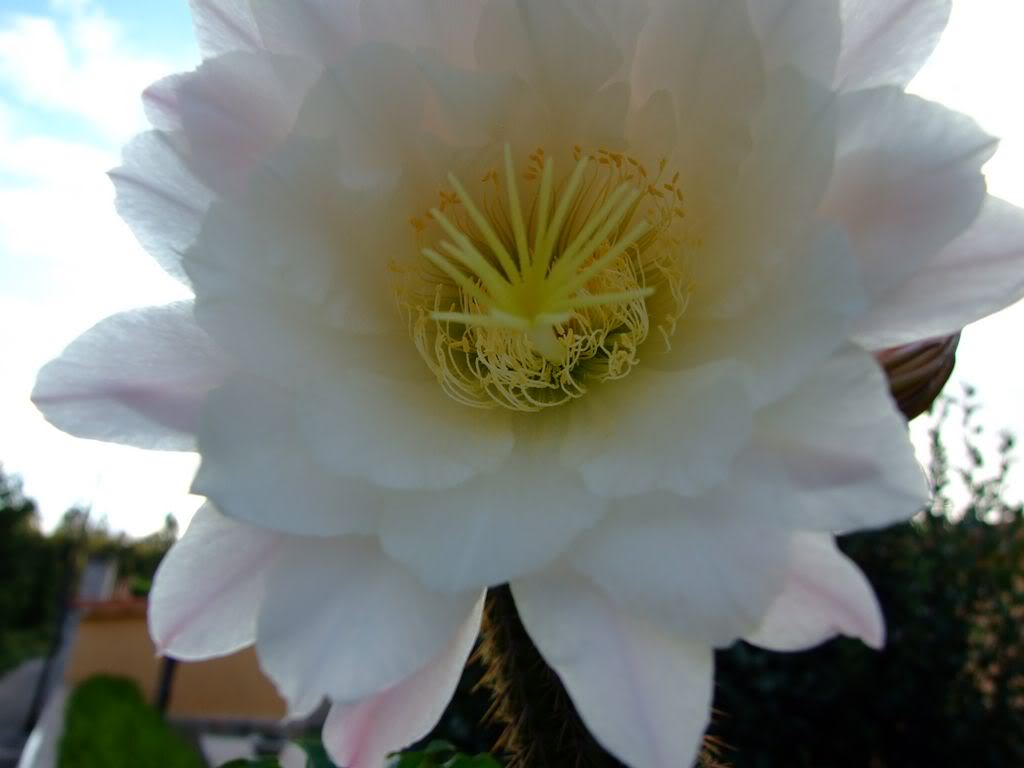 DSCF00061280x768.jpg