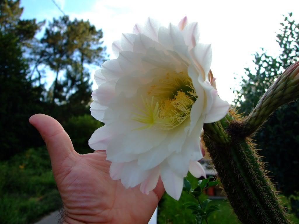 DSCF00081280x768-1.jpg