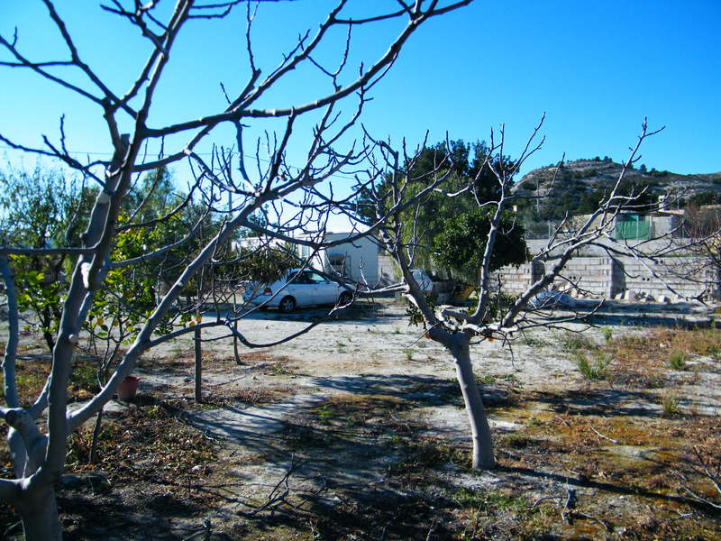 DSCF0009.jpg