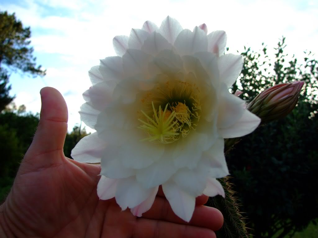 DSCF00091280x768-1.jpg