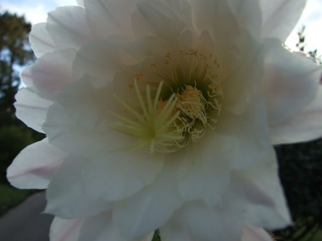 DSCF00121280x768.jpg