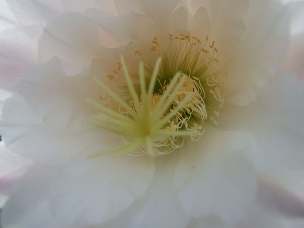 DSCF00131280x768-2.jpg