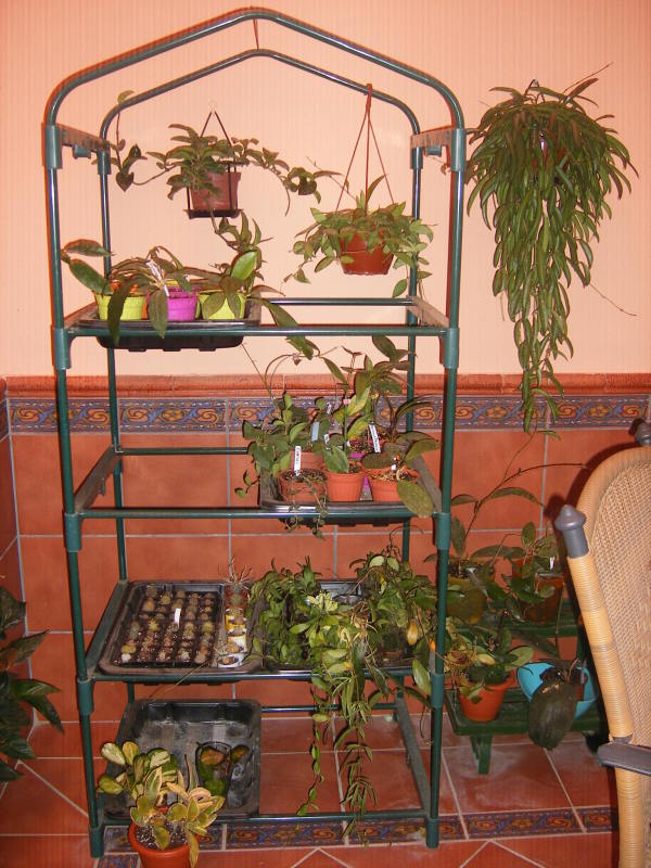 DSCF00132.jpg
