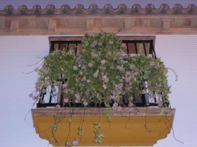 DSCF00133.jpg