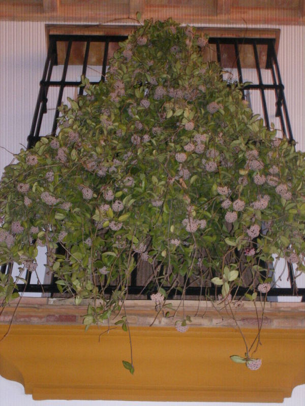 DSCF0014.jpg