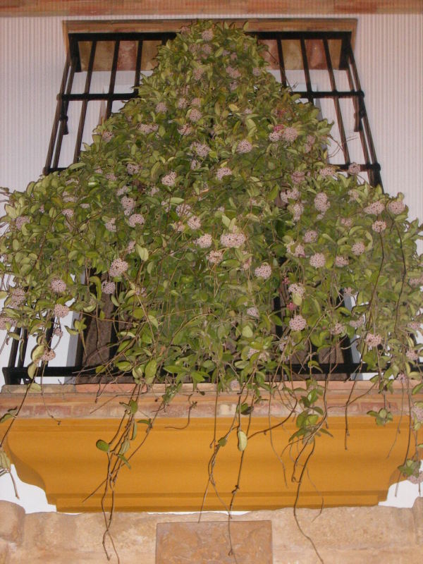 DSCF00152.jpg