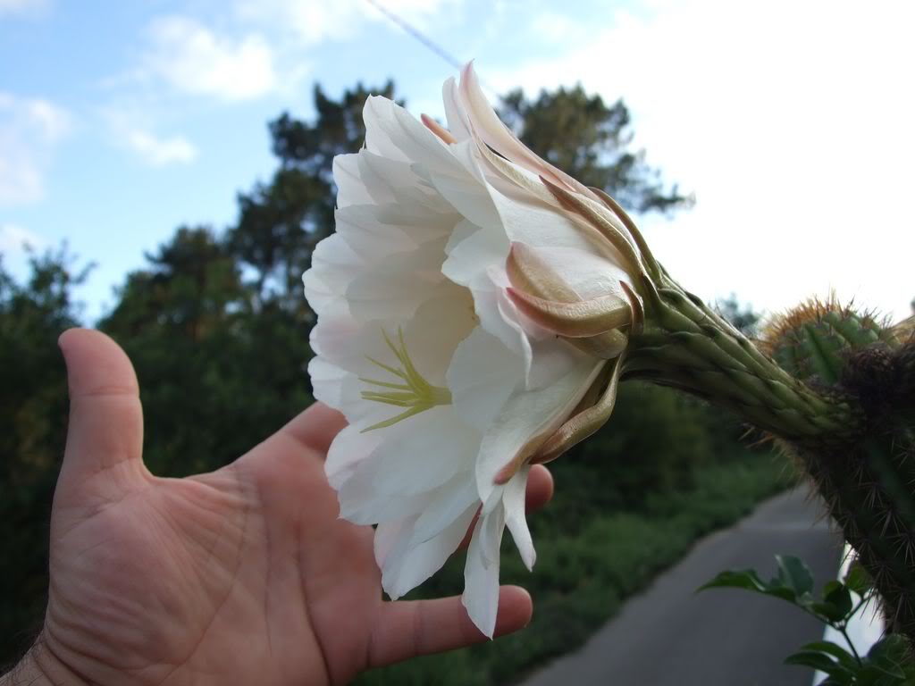 DSCF00161280x768-1.jpg