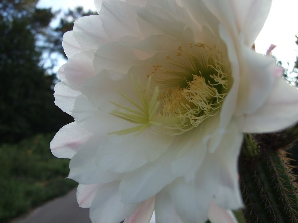 DSCF00171280x768.jpg