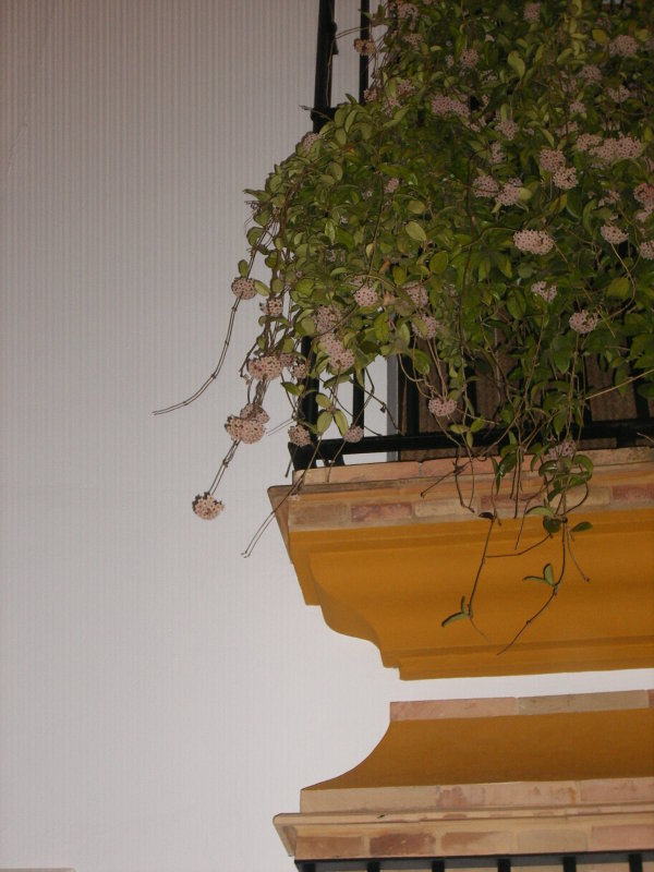 DSCF00173.jpg
