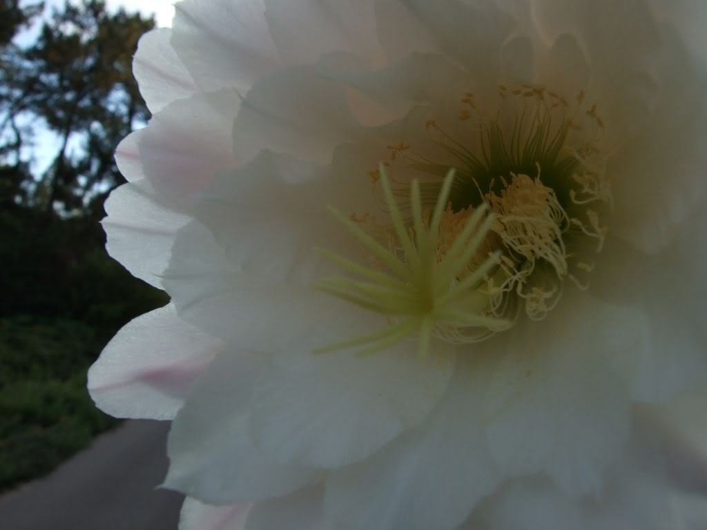 DSCF00181280x768-2.jpg
