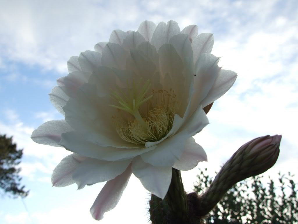DSCF00191280x768.jpg