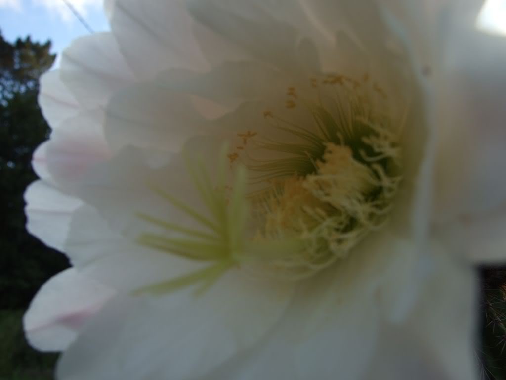 DSCF00201280x768-2.jpg