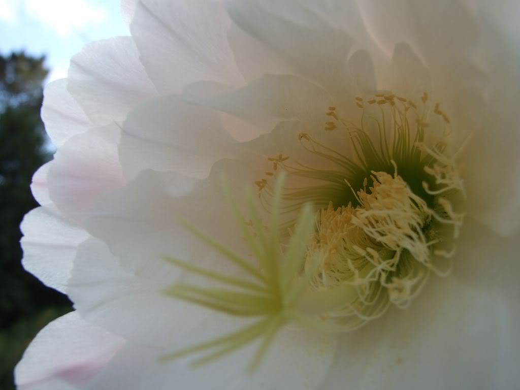DSCF00211280x768-1.jpg