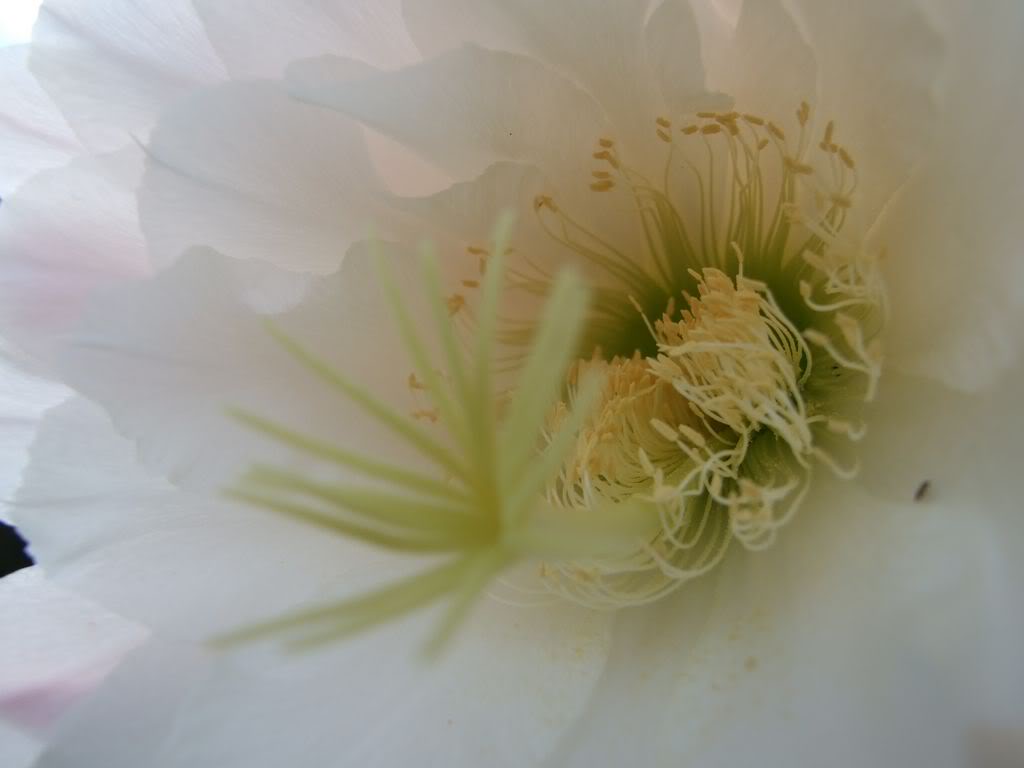 DSCF00221280x768-2.jpg