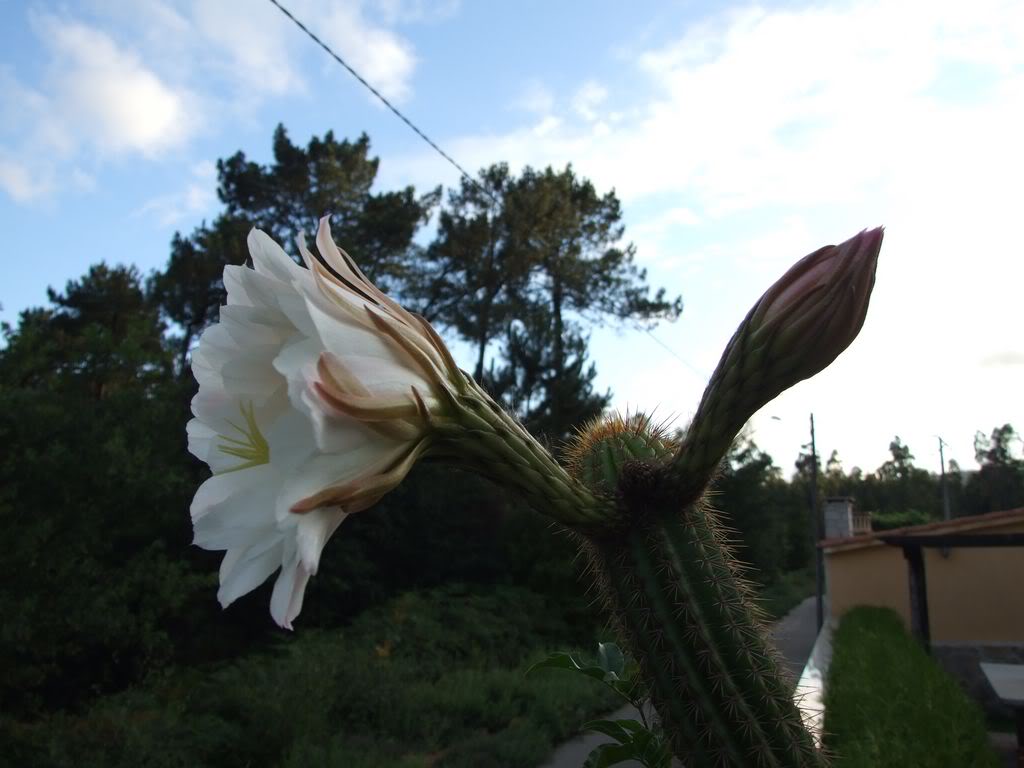 DSCF00241280x768-2.jpg