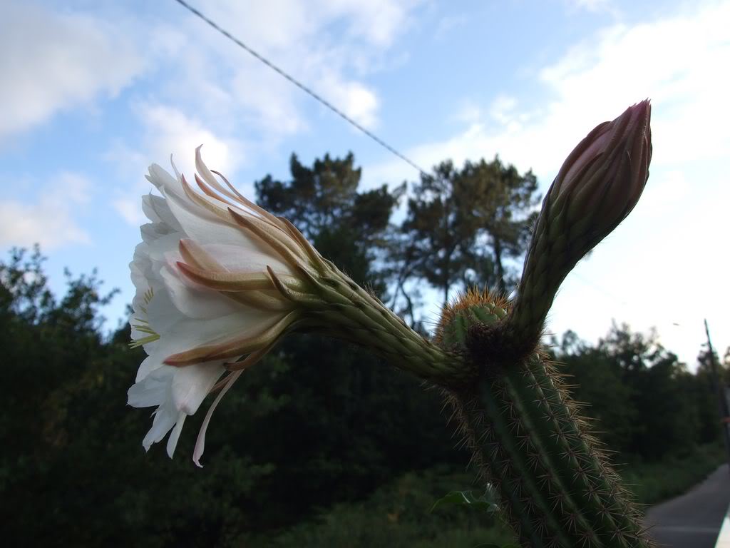 DSCF00251280x768.jpg