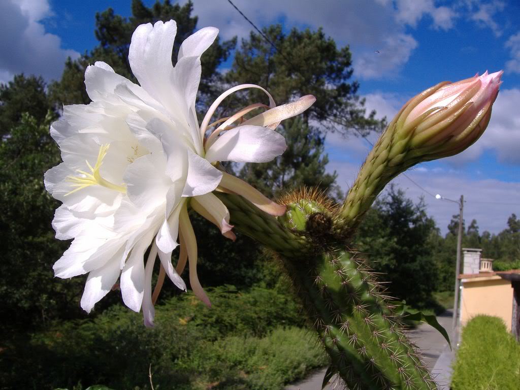 DSCF00411280x768-1.jpg