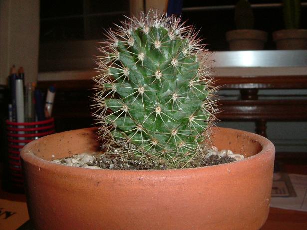 Dscf0042.jpg