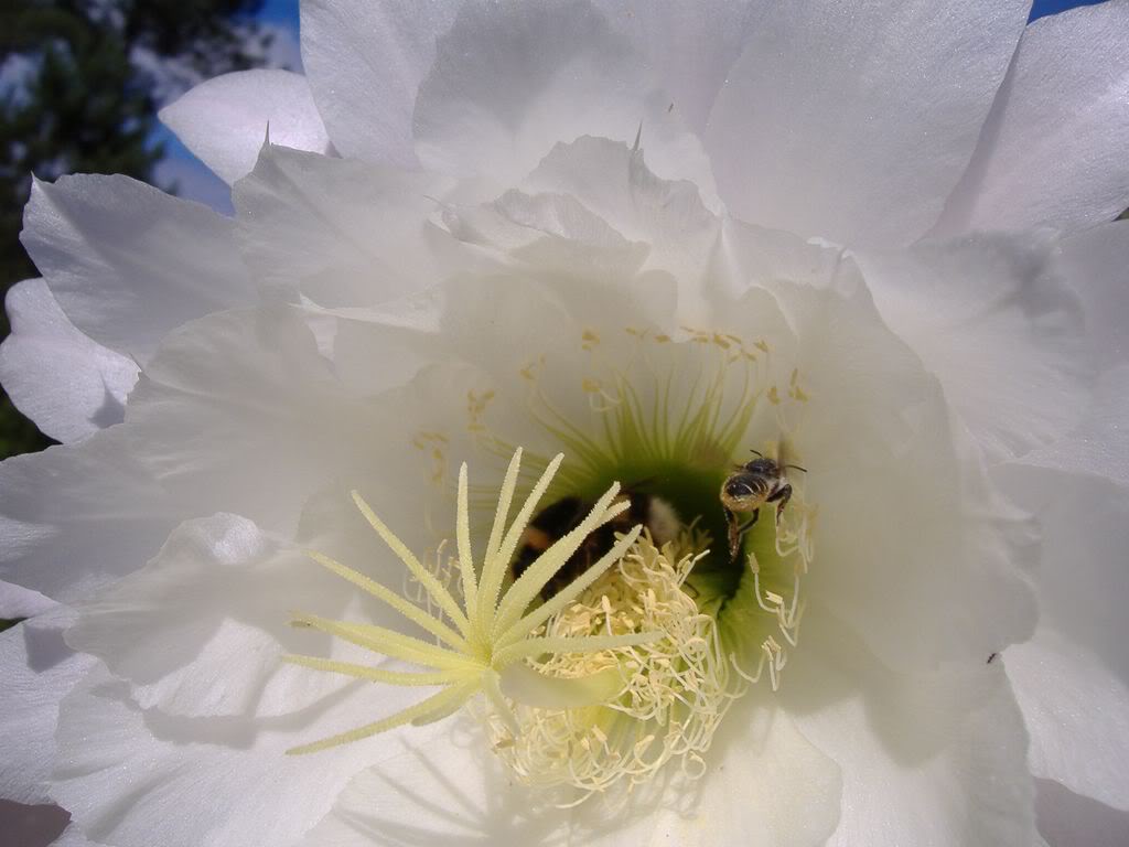 DSCF00421280x768-1.jpg