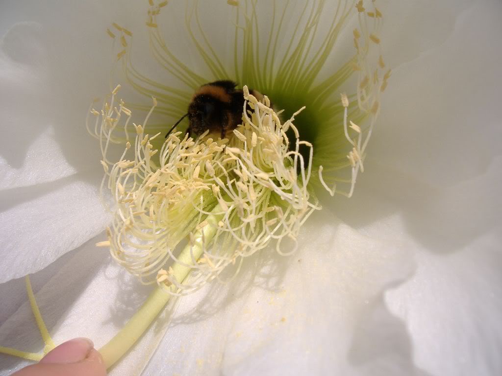 DSCF00431280x768.jpg
