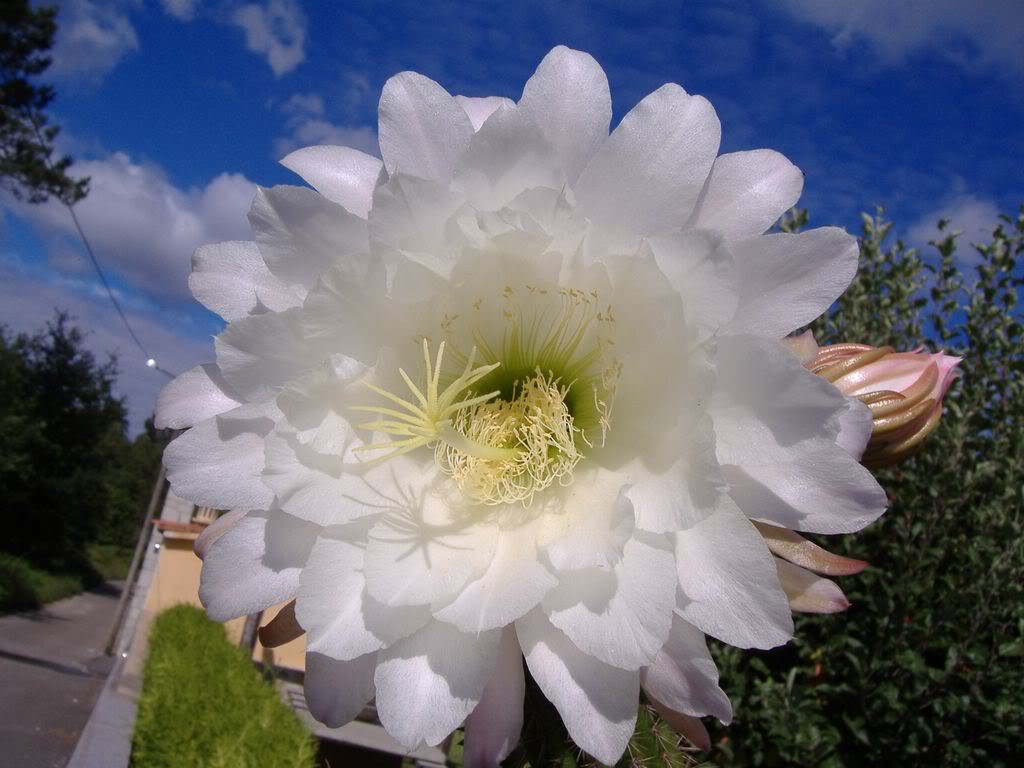 DSCF00441280x768.jpg